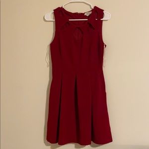 Red Fir and Flare Dress